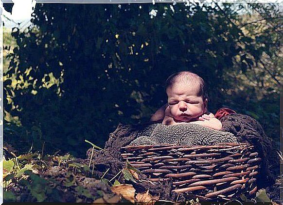 Baby in basket