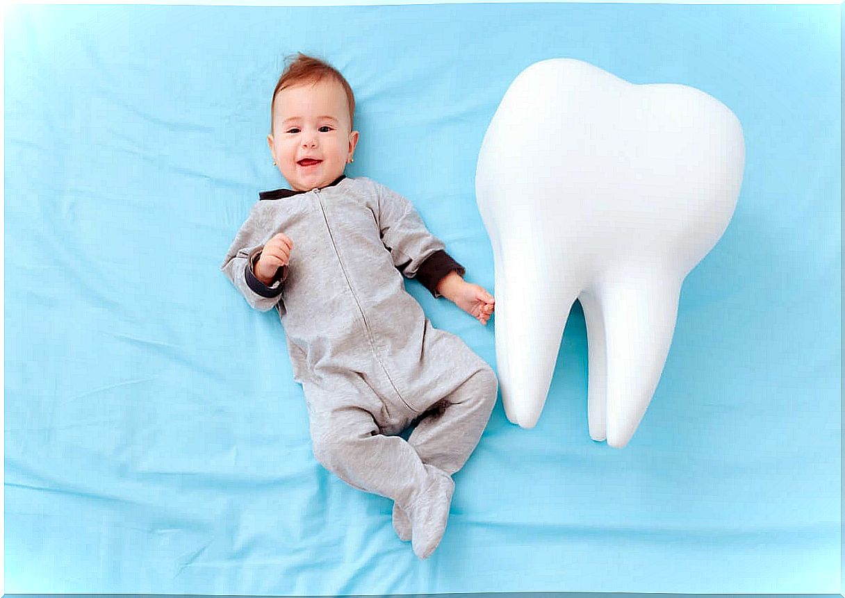 A baby lying on the floor smiling next to a large model of a tooth.