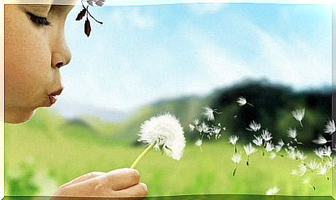 children and dandelion