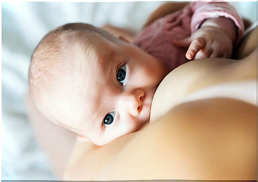 Infants breastfeed