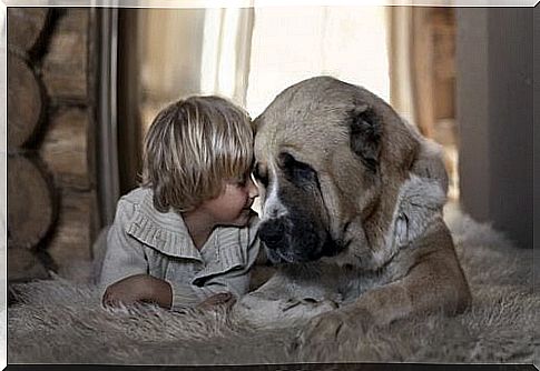 Children and dog