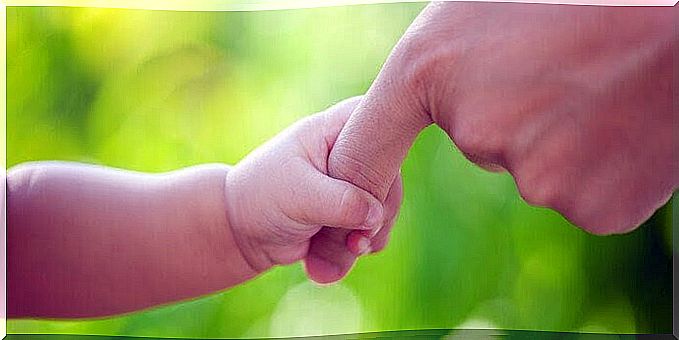 Baby hand holds the adult's finger