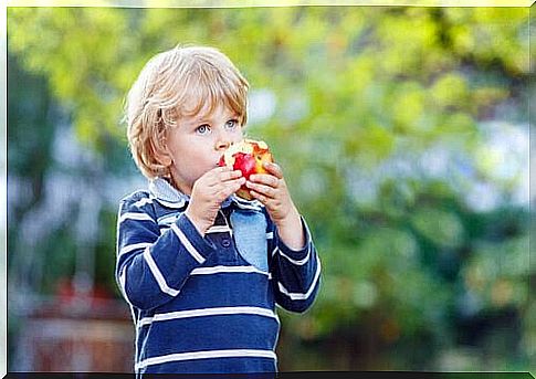 Boy eats apple