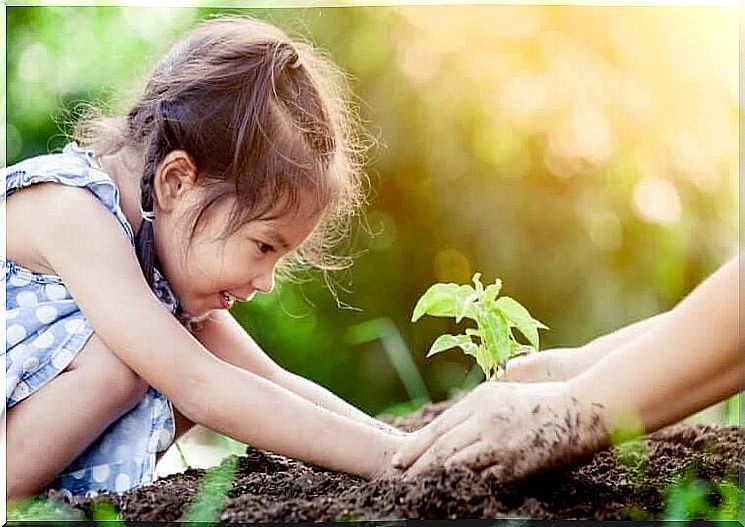 empirical learning: children plant seedlings