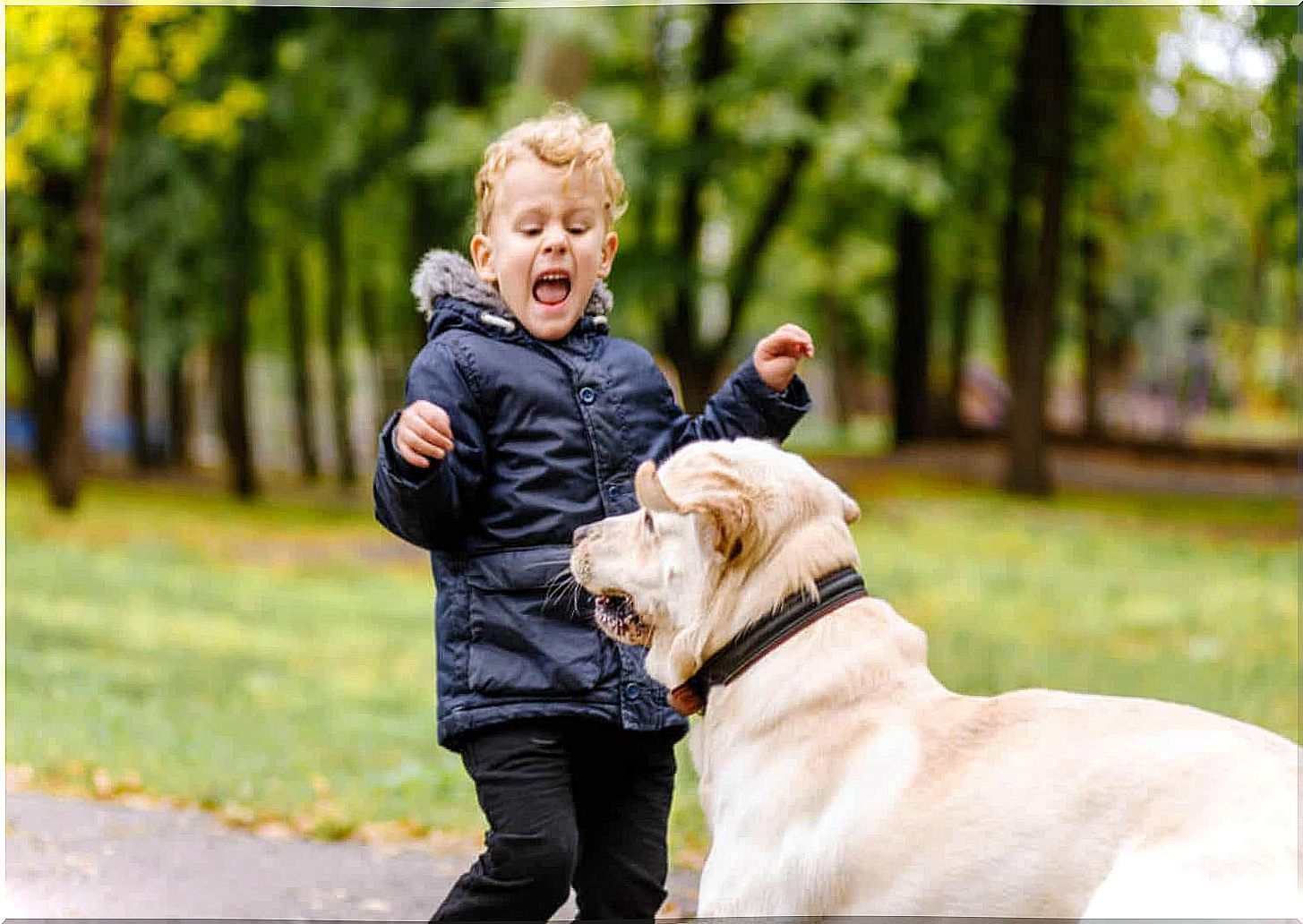 A child frightened by a dog in the park.